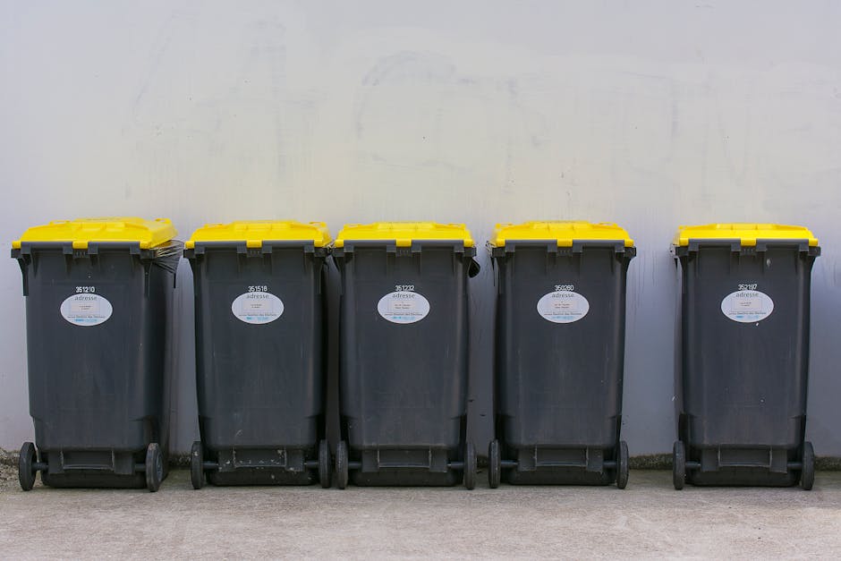 Same day rubbish collection options near Seven Sisters station
